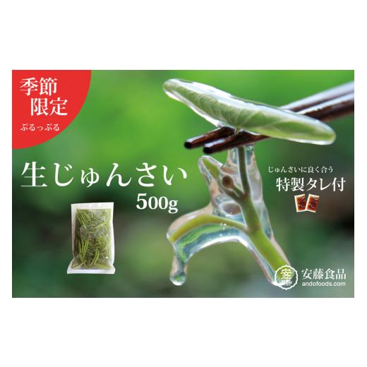 ふるさと納税 山菜・きのこ 秋田県 三種町 生じゅんさい500g ゆずタレ２個 《冷蔵》（2026年5月上旬頃〜7月下旬までに発送予定）_1