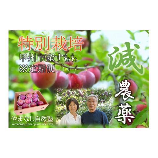 ふるさと納税 もも 山梨県 甲州市 定期便 減農薬『特別栽培』自然塾のスモモ4種制覇 2026年発送 (YSGK)E8-160 菅野中生 貴陽 太陽 皇寿 スモモ すもも 令和…