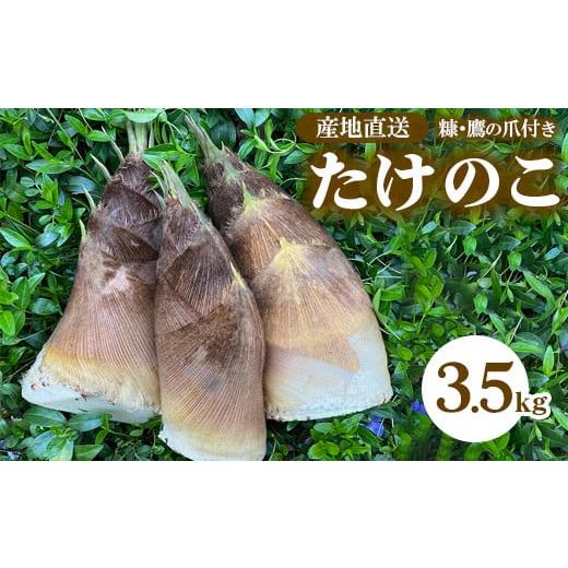 ふるさと納税 茨城県 土浦市 農園直送!たけのこ 3.5kg(糠・鷹の爪付)※北海道・沖縄・離島への配送不可