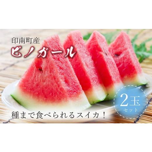 ふるさと納税 スイカ 和歌山県 印南町 種まで食べられるスイカ 印南町産 ピノガール 2玉セット スイカ 西瓜 すいか 小玉スイカ ピノガール