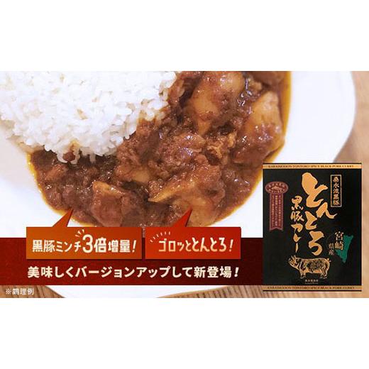 ふるさと納税 豚肉 カレー・シチュー 宮崎県 小林市 ご当地カレー 黒豚トントロ肉とあらびきミンチの濃厚“とんとろカレー"