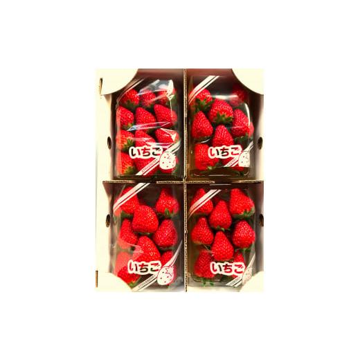ふるさと納税 いちご 福島県 川内村 かわうちベリー 紅ほっぺ いちご 250g×4パック
