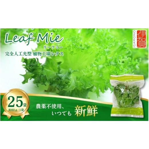 ふるさと納税 野菜類 三重県 伊賀市 農薬不使用 Leaf Mie(完全人工光型植物工場レタス)