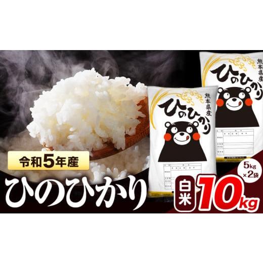 ふるさと納税 熊本県 氷川町 令和5年産 ひのひかり 白米 10kg [7-14営業日以内に出荷予定(土日祝除く)] 5kg×2袋 熊本県産 米 精米 ひの 氷川町 白米[7-14…