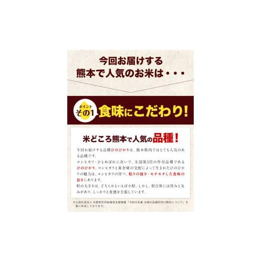 ふるさと納税 熊本県 氷川町 令和5年産 ひのひかり 無洗米 10kg 《7-14営業日以内に出荷予定(土日祝除く)》  5kg×2袋 熊本県産 米 精米 ひの 氷川町 無洗米《…｜furusatochoice｜03