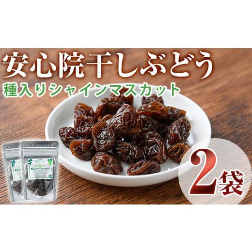 ふるさと納税 果物類 ぶどう 大分県 宇佐市 安心院干しぶどう 種