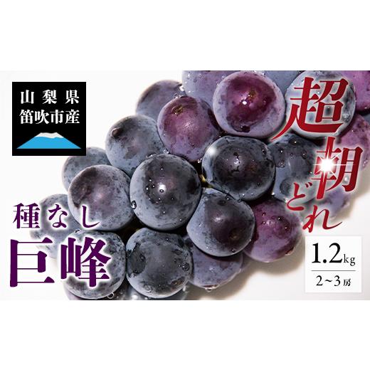 ふるさと納税 ぶどう 巨峰 山梨県 笛吹市 2026年発送 先行予約 巨峰 2〜3房 約1.2kg 154-026 | フルーツ 果物 高評価 人気 ランキング おすすめ 甘い 美味し…
