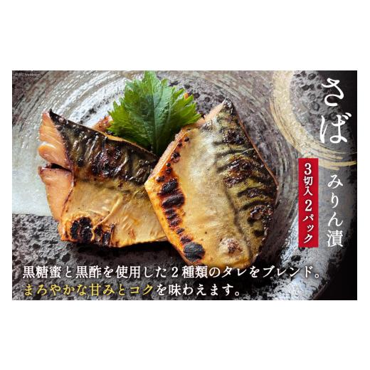 ふるさと納税 漬魚（味噌・粕等） 味噌漬け 宮城県 気仙沼市 漬魚 詰め合わせ 3種16切入 計1kg カネダイ 宮城県 気仙沼市 20565743 宮城県産銀鮭使用 魚 魚介…_6