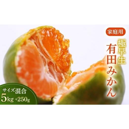 ふるさと納税 果物類 みかん 和歌山県 美浜町 家庭用 極早生有田みかん5kg+250g(傷み補償分) YN26・ゆら早生 わけあり・訳あり
