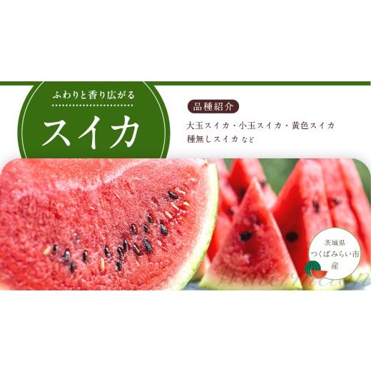 ふるさと納税 果物の詰合せ 茨城県 つくばみらい市  定期便 旬のフルーツはこれだっぺ セット 隔月コース（ 計6回 ）田舎の頑固おやじが厳選 定期便 フルーツ …_6