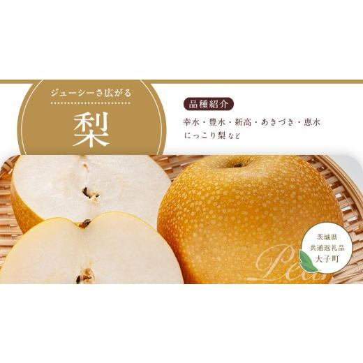 ふるさと納税 果物の詰合せ 茨城県 つくばみらい市  定期便 旬のフルーツはこれだっぺ セット 隔月コース（ 計6回 ）田舎の頑固おやじが厳選 定期便 フルーツ …_7