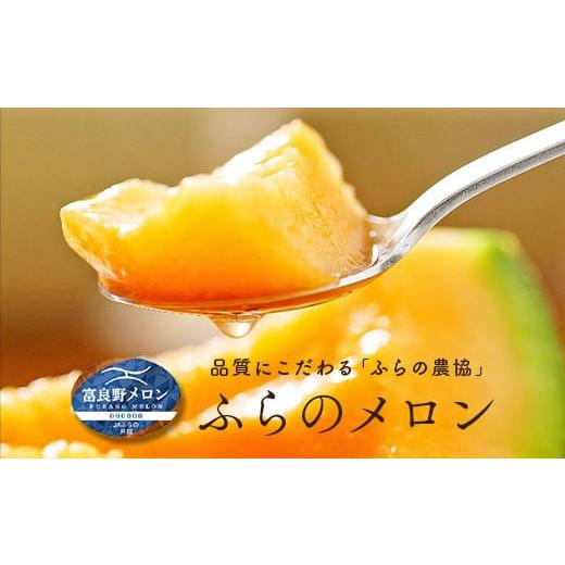 ふるさと納税 メロン メロン赤肉 北海道 中富良野町 2026年発送 秀品 富良野メロン1玉(約2.5kg以上)