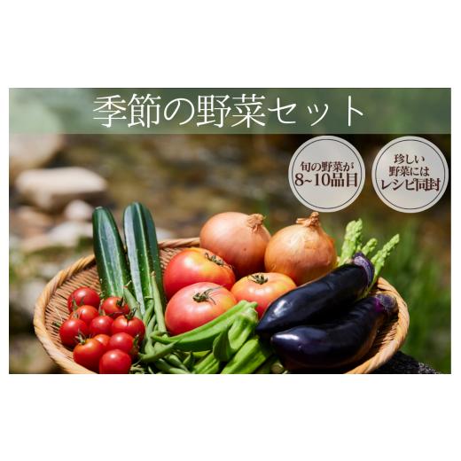 ふるさと納税 セット・詰合せ 静岡県 南伊豆町 湯の花 季節の野菜セット <BC-83>の画像
