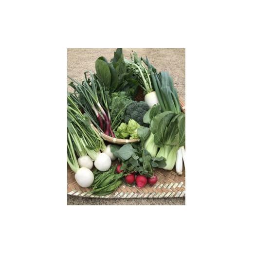 ふるさと納税 セット・詰合せ 静岡県 南伊豆町 湯の花 季節の野菜セット <BC-83>の画像