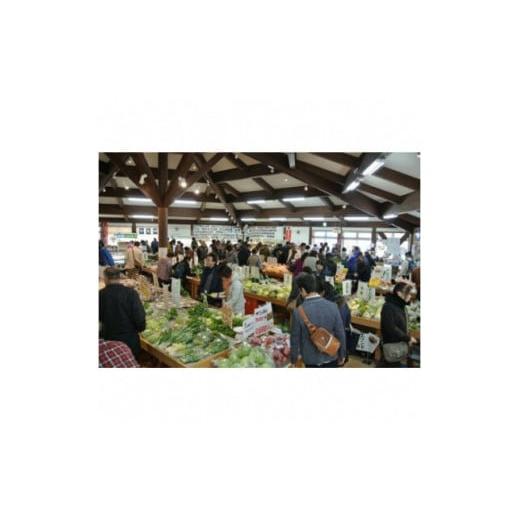 ふるさと納税 セット・詰合せ 静岡県 南伊豆町 湯の花 季節の野菜セット <BC-83>の画像