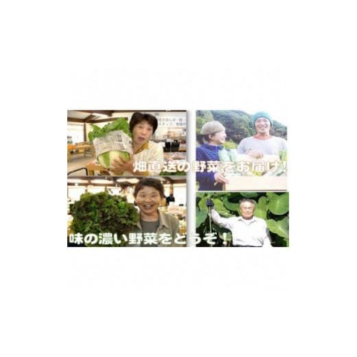 ふるさと納税 セット・詰合せ 静岡県 南伊豆町 湯の花 季節の野菜セット <BC-83>の画像