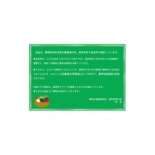 ふるさと納税 セット・詰合せ 静岡県 南伊豆町 湯の花 季節の野菜セット <BC-83>の画像