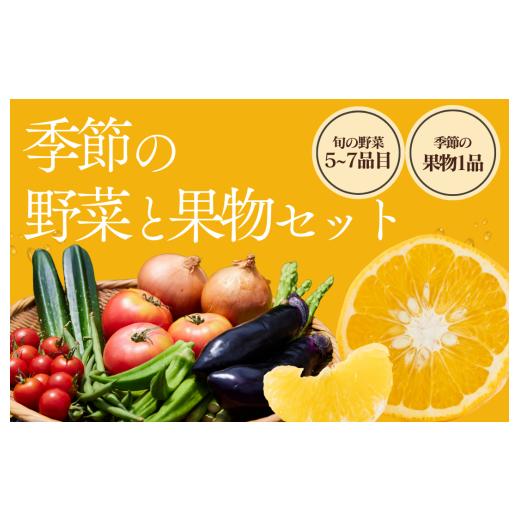 ふるさと納税 セット・詰合せ 静岡県 南伊豆町 湯の花 季節の野菜と果物セット  柑橘 果物 野菜 静岡県産 南伊豆町 おまかせ 旬 みかん やさい <BC-82…の画像