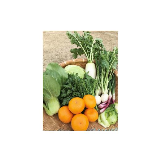ふるさと納税 セット・詰合せ 静岡県 南伊豆町 湯の花 季節の野菜と果物セット  柑橘 果物 野菜 静岡県産 南伊豆町 おまかせ 旬 みかん やさい <BC-82…の画像