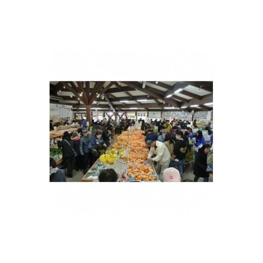 ふるさと納税 セット・詰合せ 静岡県 南伊豆町 湯の花 季節の野菜と果物セット  柑橘 果物 野菜 静岡県産 南伊豆町 おまかせ 旬 みかん やさい <BC-82…の画像