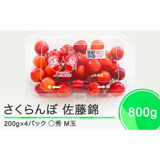 ふるさと納税 山形県 大石田町 さくらんぼ 佐藤錦 ◯秀 M玉 200g×4パック 計800g フードパック 2024年産 令和六年産果物 フルーツ 山形県産 ja-snpmx8