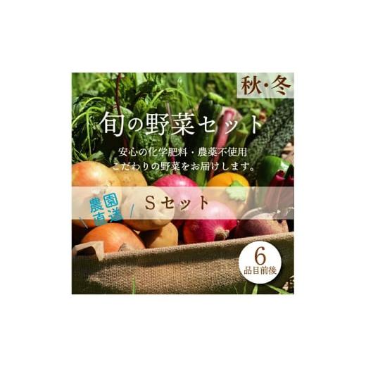 ふるさと納税 福島県 白河市 都内マルシェで人気のお野菜！ 秋冬 旬の野菜セットSサイズ(6品前後) F21R-211｜furusatochoice｜02