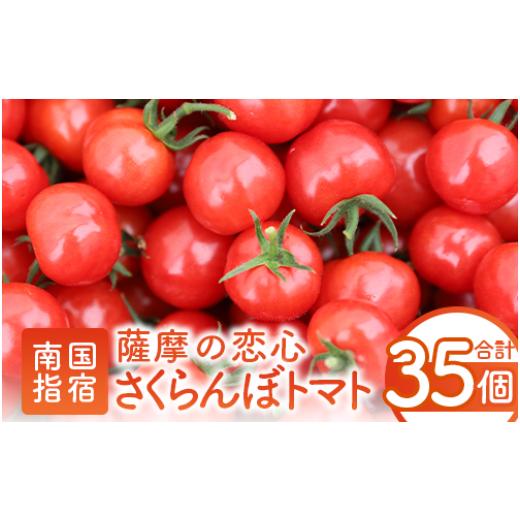 ふるさと納税 トマト ミニトマト 鹿児島県 指宿市 2025年12月上旬〜発送 鹿児島県指宿市産 さくらんぼトマト 薩摩の恋心 35個入(シナジーブリーディング/010…