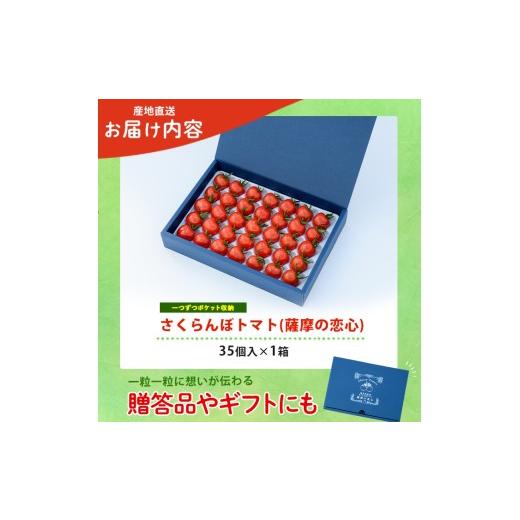 ふるさと納税 トマト ミニトマト 鹿児島県 指宿市 2026年12月上旬