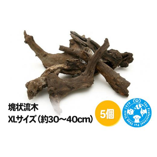 ふるさと納税 生き物 群馬県 邑楽町 塊状流木 XLサイズ（約30〜40cm）5個_1