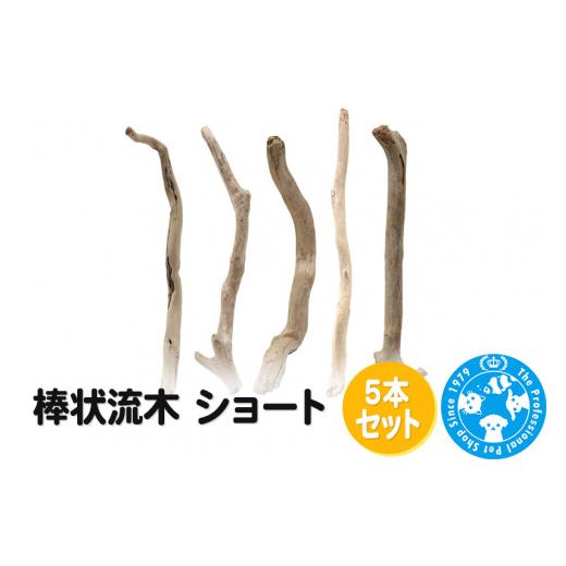 ふるさと納税 群馬県 邑楽町 棒状流木 ショート 5本セット 予めご了承ください