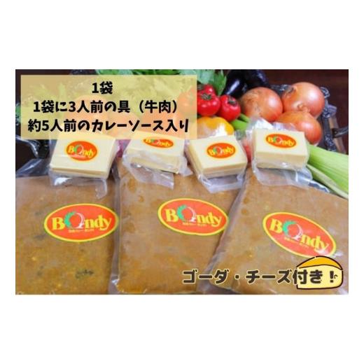 ふるさと納税 埼玉県 和光市 [No.5720-0189]【2カ月】神田カレーグランプリ第1回優勝　欧風カレーボンディ　辛口 