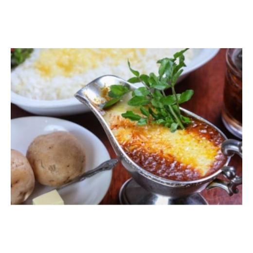 ふるさと納税 埼玉県 和光市 [No.5720-0189]【2カ月】神田カレーグランプリ第1回優勝　欧風カレーボンディ　辛口 