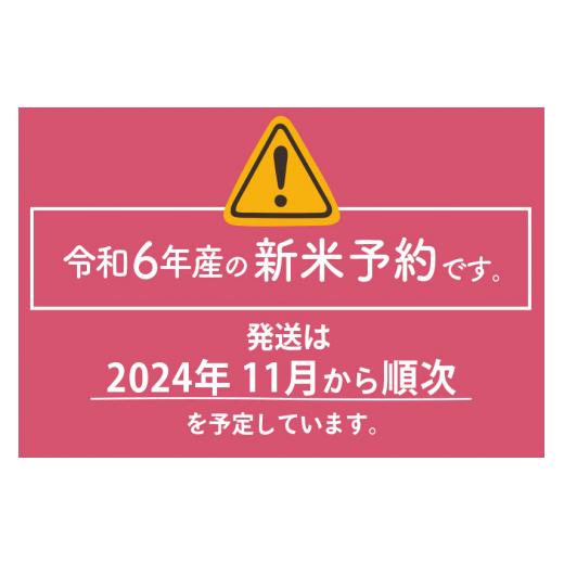 ふるさと納税 秋田県 由利本荘市 ※令和6年産 新米予約※《定期便7ヶ月》【玄米】5年連続特A 秋田県産ひとめぼれ 計30kg (5kg×6袋) お届け周期調整可能 隔月… 食品 パン、シリアル