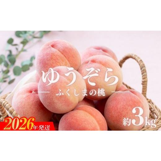 ふるさと納税 もも 福島県 福島市 No.2653福島のもも ゆうぞら 約3kg 2026年発送 先行予約の画像