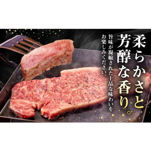 ふるさと納税 牛肉 サーロイン 長崎県 壱岐市  全12回定期便 ＼ぐるナイで紹介／ 壱岐牛 サーロインステーキ 500g（250g×2枚）《壱岐市》 株式会社イチヤマ J…_2