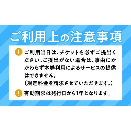 ふるさと納税 鹿児島県 鹿児島市 鹿児島市内・桜島めぐり5時間コース（小型タクシー）4名様まで　K192-FT002｜furusatochoice｜06