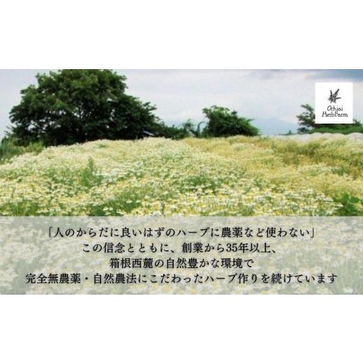 ふるさと納税 静岡県 三島市 【有機JAS認定】落合ハーブ園のオーガニックハーブティー　カモミール 