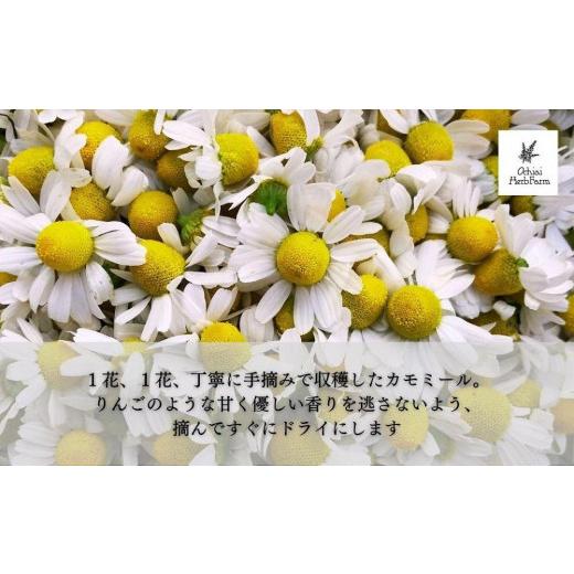 ふるさと納税 静岡県 三島市 【有機JAS認定】落合ハーブ園のオーガニックハーブティー　カモミール 