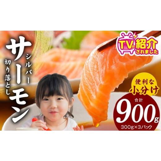 ふるさと納税 魚貝類 サーモン 大阪府 泉佐野市  TVで紹介 サーモン 切り落とし 900g 小分け 300g×3 刺身 海鮮丼 サラダ カルパッチョ さーもん 訳あり サイ… | 