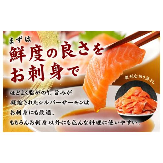 ふるさと納税 魚貝類 サーモン 大阪府 泉佐野市  TVで紹介 サーモン 切り落とし 900g 小分け 300g×3 刺身 海鮮丼 サラダ カルパッチョ さーもん 訳あり サイ… |  | 02
