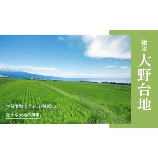ふるさと納税 アロマ・入浴剤 アロマ用品 高知県 田野町 香りの教室 『帆南』 １０種類から選べる アロマで旅する高知 各５ml×５本セット（精油） エッセン…の画像
