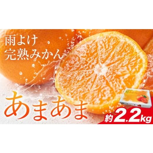 ふるさと納税 果物類 みかん 徳島県 佐那河内村 年内出荷 雨よけ完熟みかん「あまあま」選べる内容量 約2.2kg 正木久之[12月下旬-1月中旬]徳島県 佐那河内…