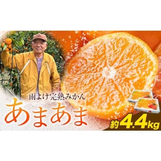 ふるさと納税 果物類 みかん 徳島県 佐那河内村 年内出荷 雨よけ完熟みかん「あまあま」選べる内容量 約4.4kg 正木久之[12月下旬-1月中旬]徳島県 佐那河内…