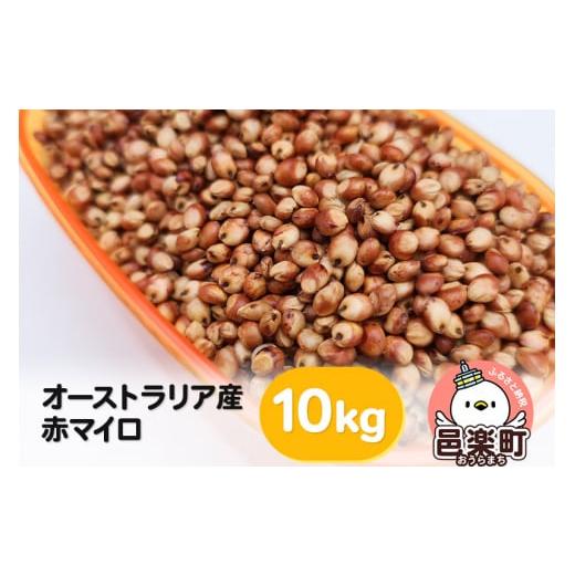 ふるさと納税 生き物 群馬県 邑楽町 赤マイロ オーストラリア産 10kg×1袋 サイトウ・コーポレーション 飼料の画像
