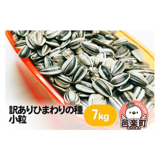 ふるさと納税 生き物 群馬県 邑楽町  訳あり ひまわりの種・小粒 7kg×1箱 箱詰め サイトウ・コーポレーション 飼料 鳥 鳩 ハト 小鳥 インコ 文鳥 カナリア 小…の画像