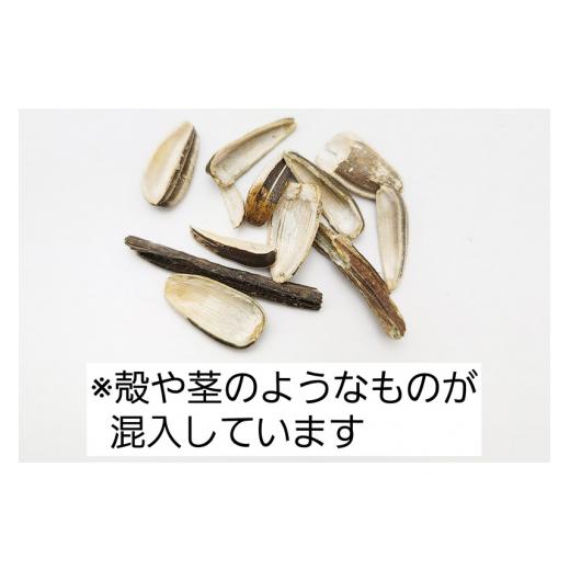 ふるさと納税 生き物 群馬県 邑楽町  訳あり ひまわりの種・小粒 7kg×1箱 箱詰め サイトウ・コーポレーション 飼料 鳥 鳩 ハト 小鳥 インコ 文鳥 カナリア 小…の画像