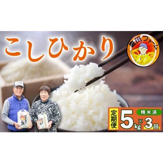ふるさと納税 米 コシヒカリ 徳島県 阿波市 コシヒカリ 5kg 定期便 3回 令和7年産 米 こめ ご飯 ごはん おにぎり 白米 精米 卵かけご飯 食品 備蓄 備蓄米 保存…