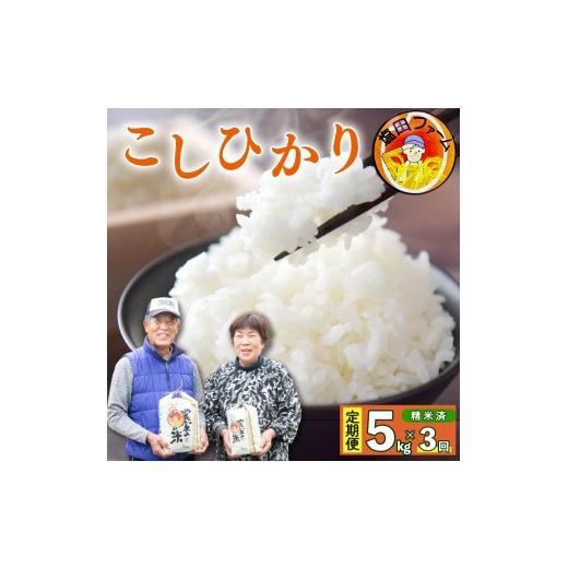 ふるさと納税 米 コシヒカリ 徳島県 阿波市 コシヒカリ 5kg 定期便 3回 令和8年産 米 こめ ご飯 ごはん おにぎり 白米 精米 卵かけご飯 食品 備蓄 備蓄米 保存… |  | 01