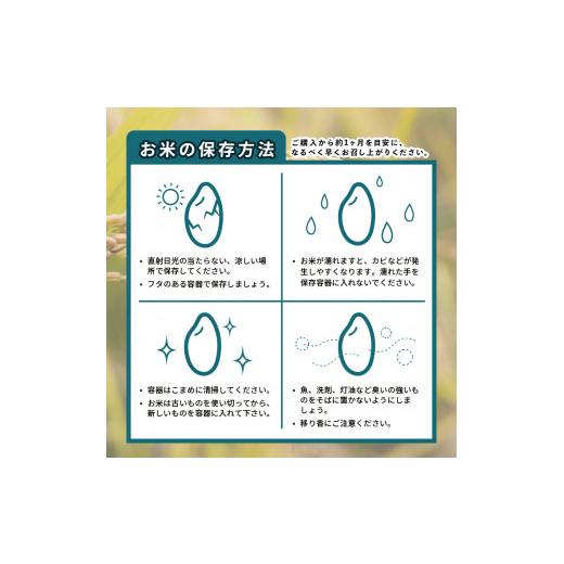 ふるさと納税 米 コシヒカリ 徳島県 阿波市 コシヒカリ 5kg 定期便 3回 令和8年産 米 こめ ご飯 ごはん おにぎり 白米 精米 卵かけご飯 食品 備蓄 備蓄米 保存… |  | 02