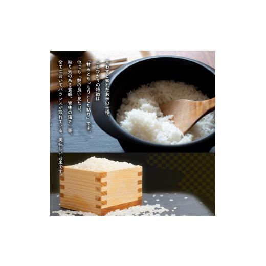 ふるさと納税 米 コシヒカリ 徳島県 阿波市 コシヒカリ 5kg 定期便 3回 令和8年産 米 こめ ご飯 ごはん おにぎり 白米 精米 卵かけご飯 食品 備蓄 備蓄米 保存… |  | 03